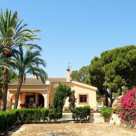Villa Buganvilla Elx Esterno foto