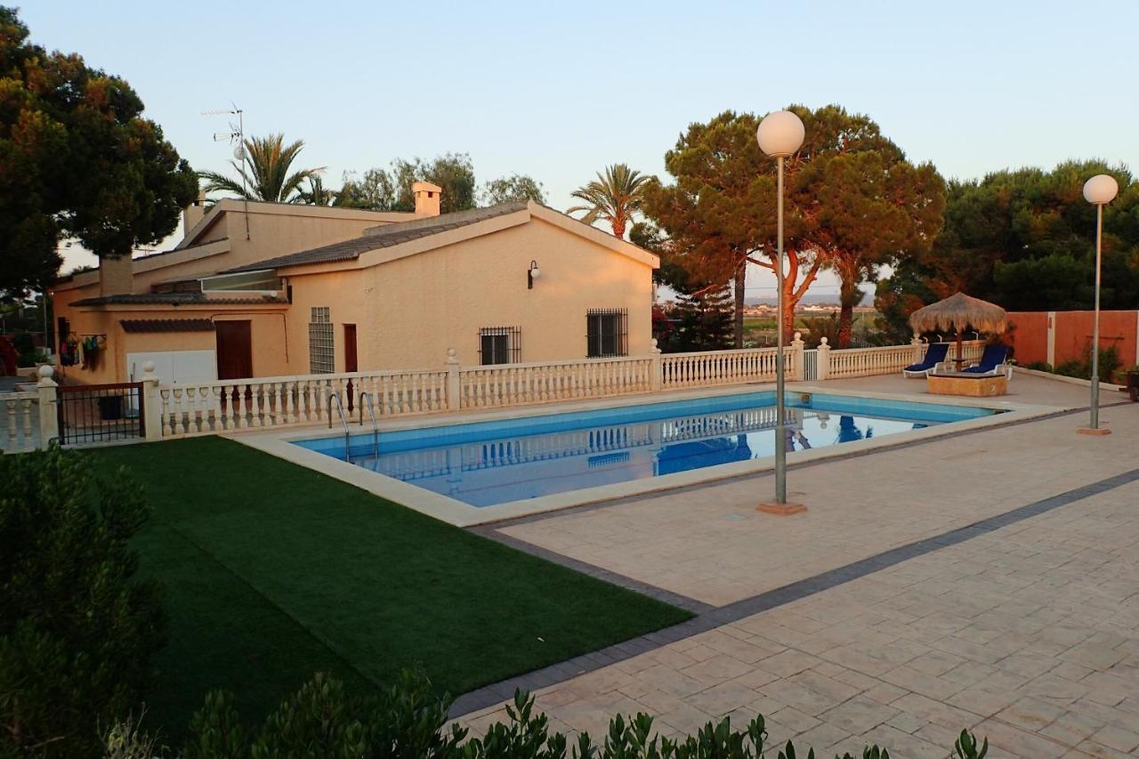 Villa Buganvilla Elx Esterno foto
