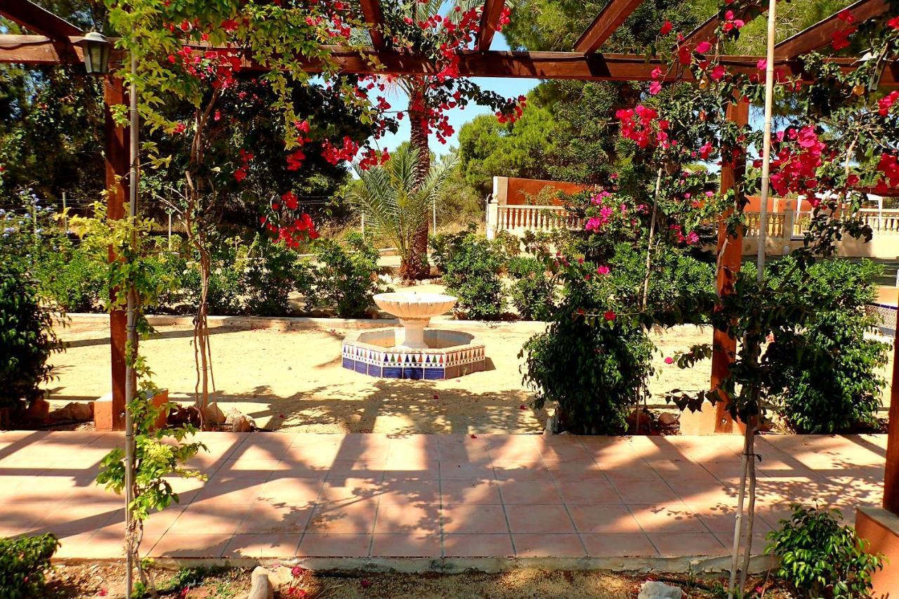 Villa Buganvilla Elx Esterno foto