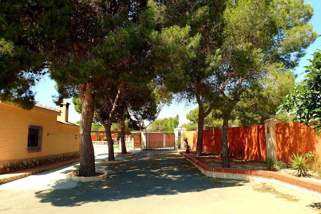 Villa Buganvilla Elx Esterno foto
