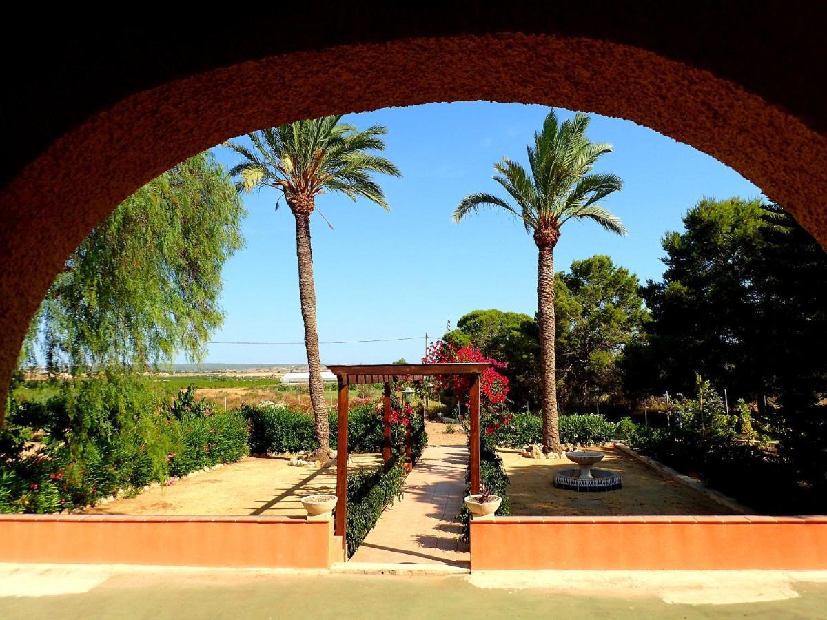 Villa Buganvilla Elx Esterno foto
