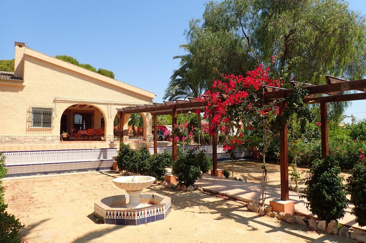 Villa Buganvilla Elx Esterno foto