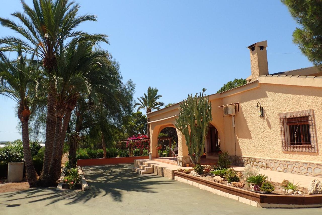 Villa Buganvilla Elx Esterno foto